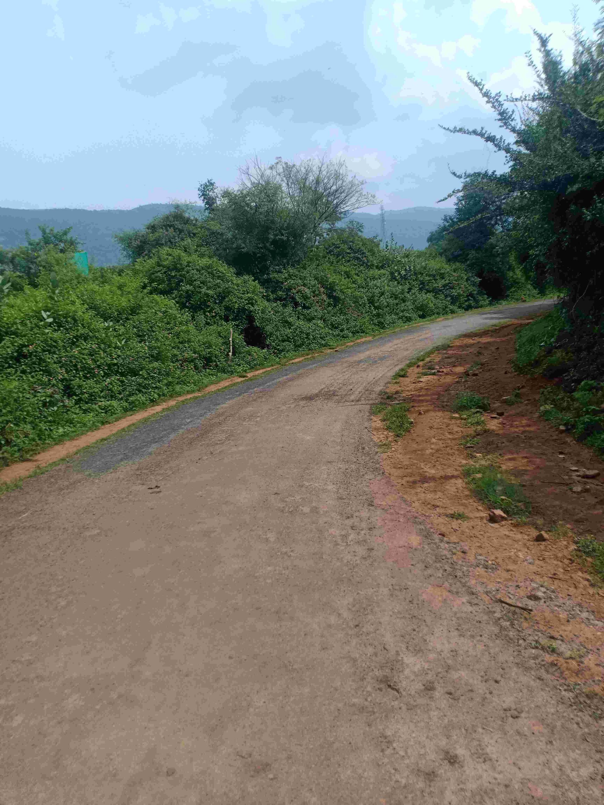 Agriculture land in Hosur