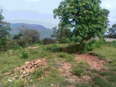 Farm Land Anchetty