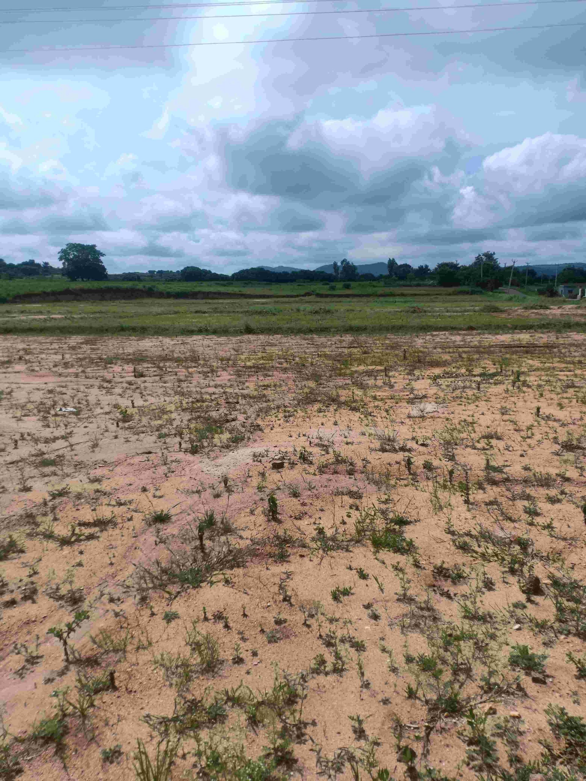 denkanikottai 19