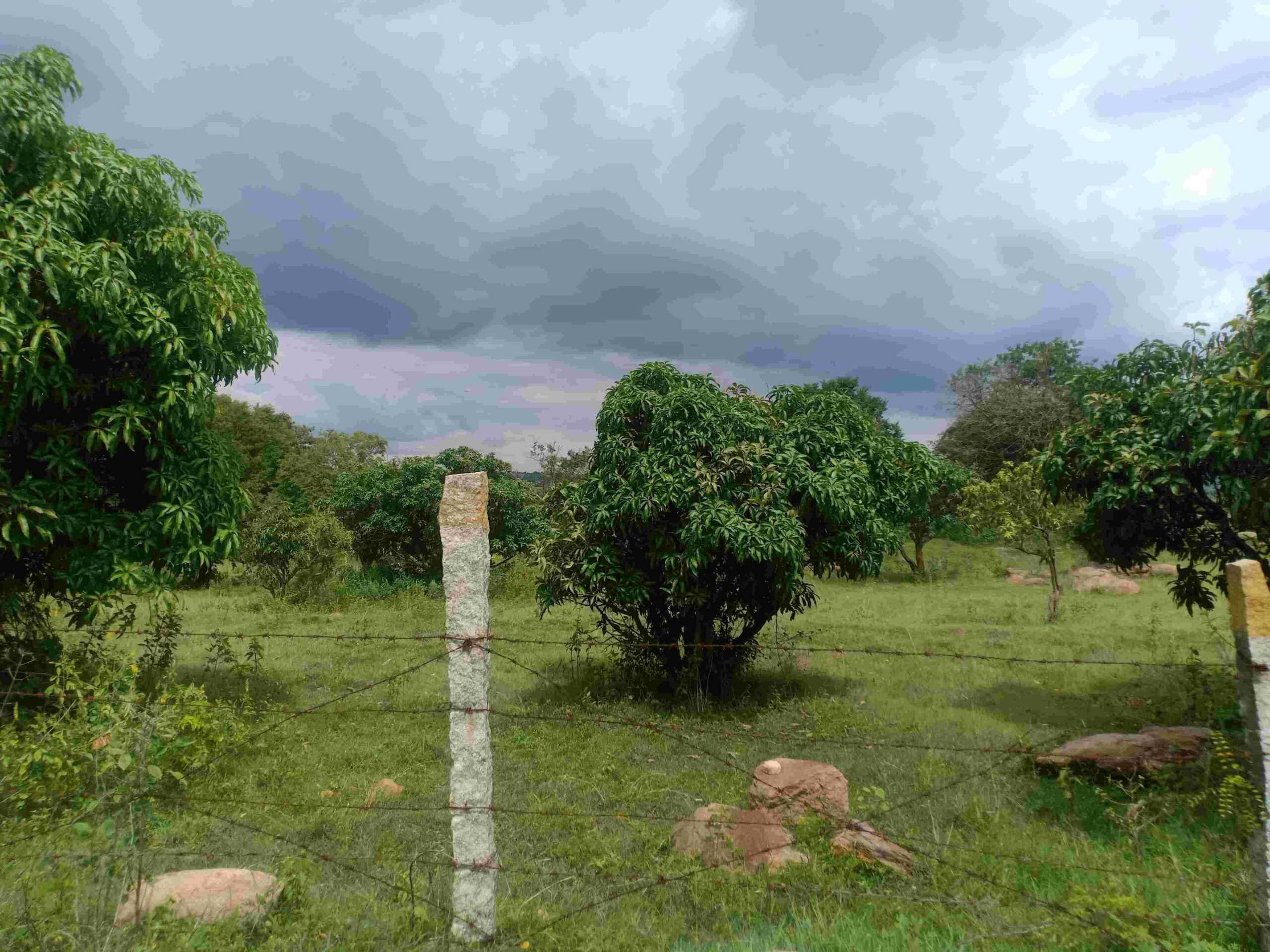 denkanikottai 51