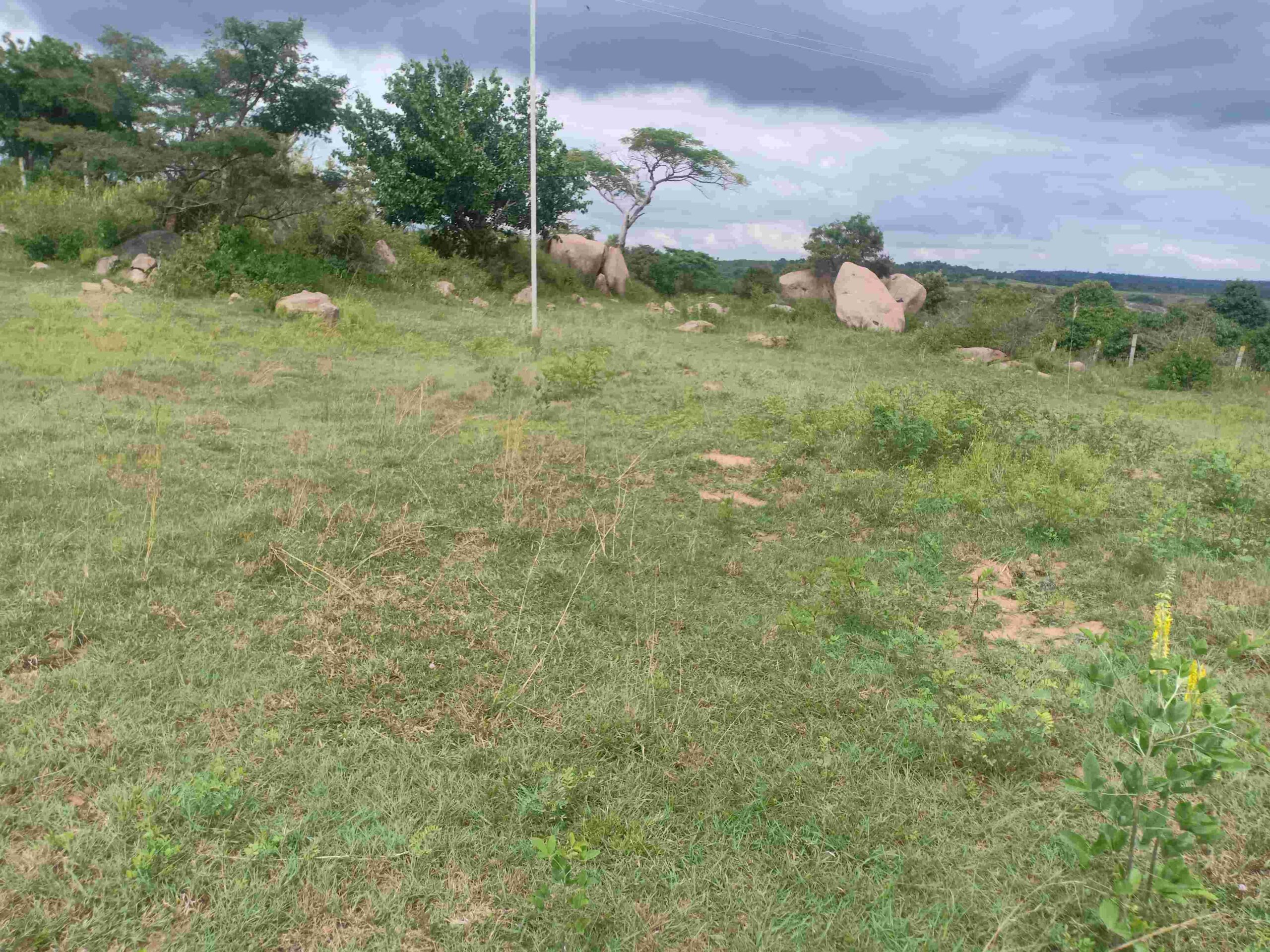 denkanikottai 53