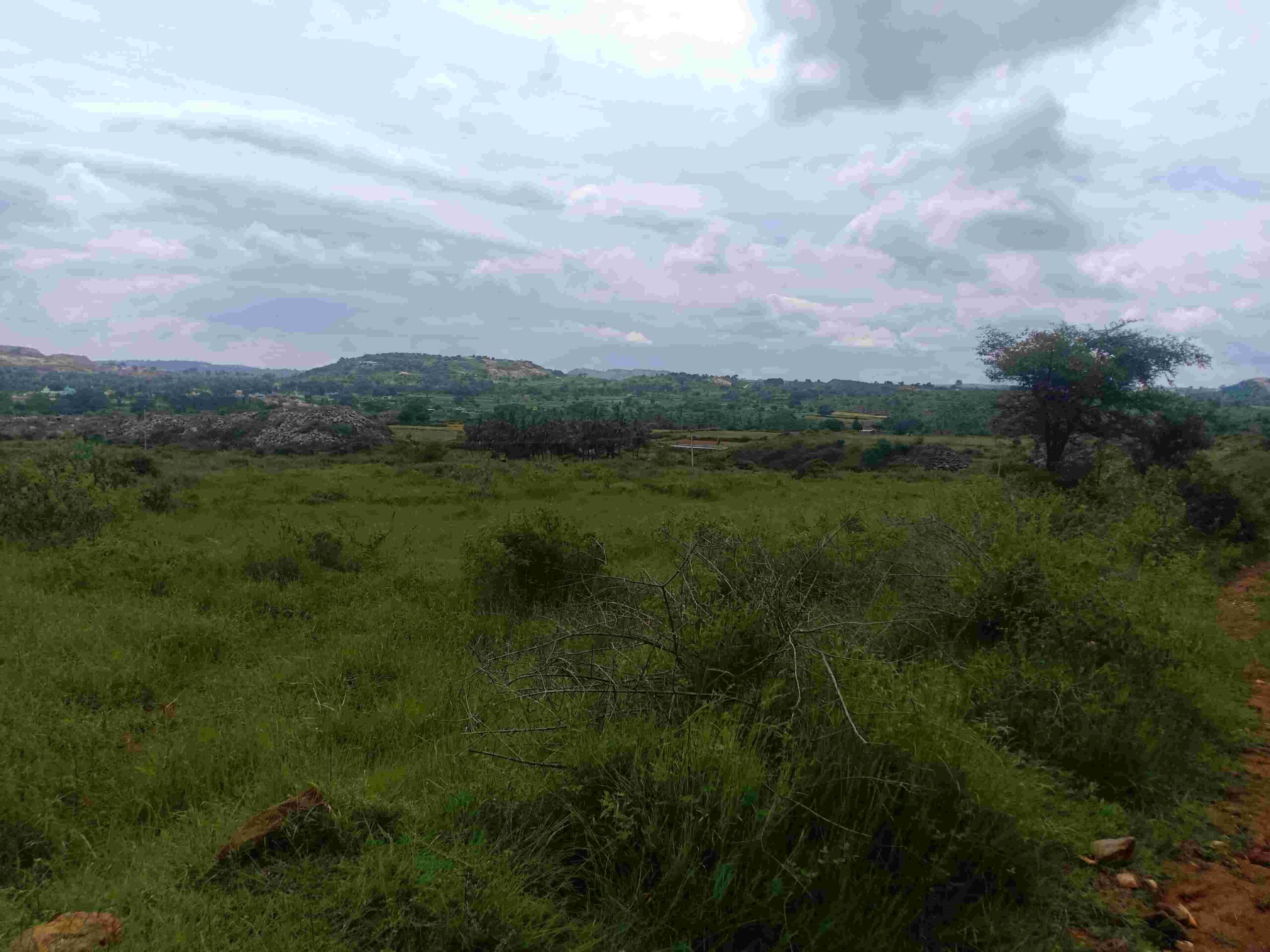 denkanikottai 58