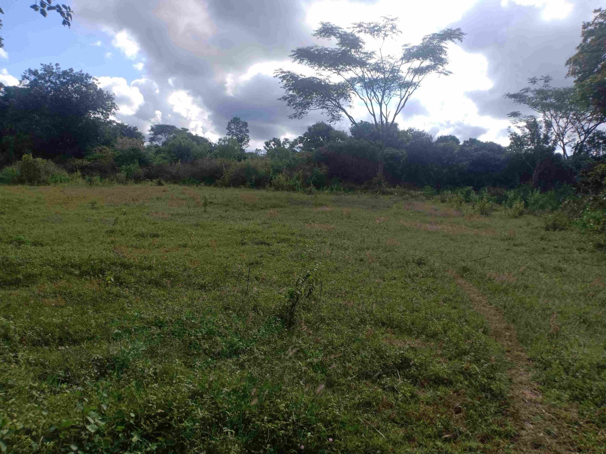 Agriculture Property for sale in Thally