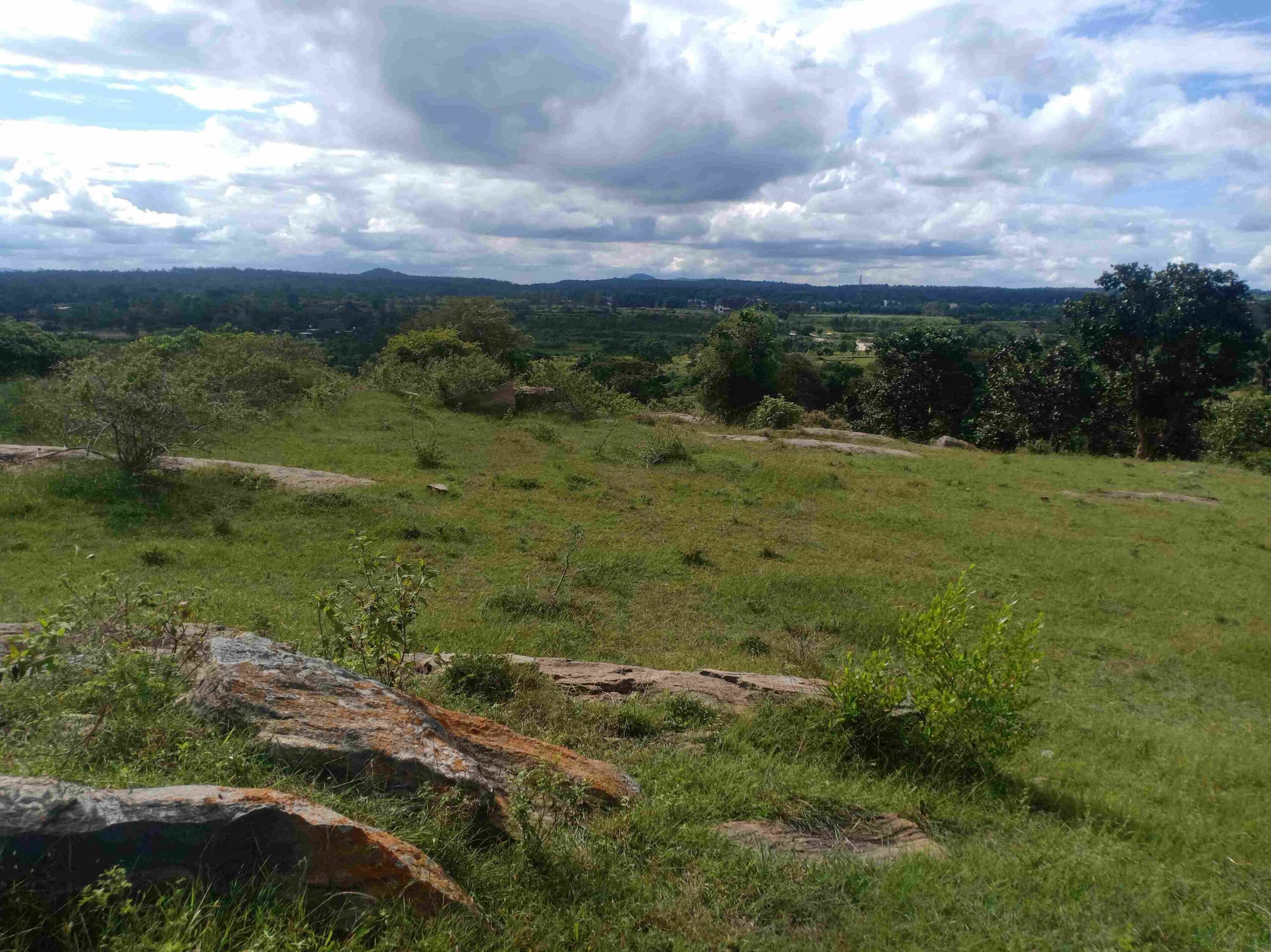 Farm land for sale in Thally