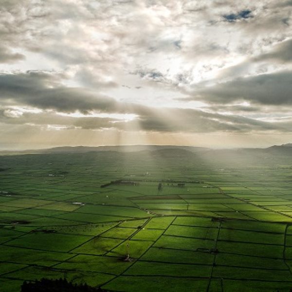 A panoramic shot of an agrucultural field with rays of sun shining through the clouds