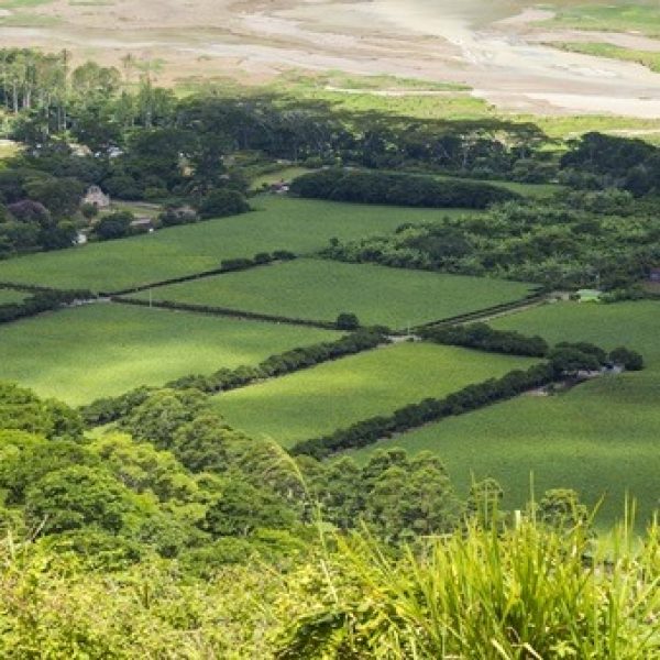 WhatsApp Image 2025-07-26 at 6.41.07 PM